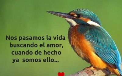 No hay nada que nos de más miedo…